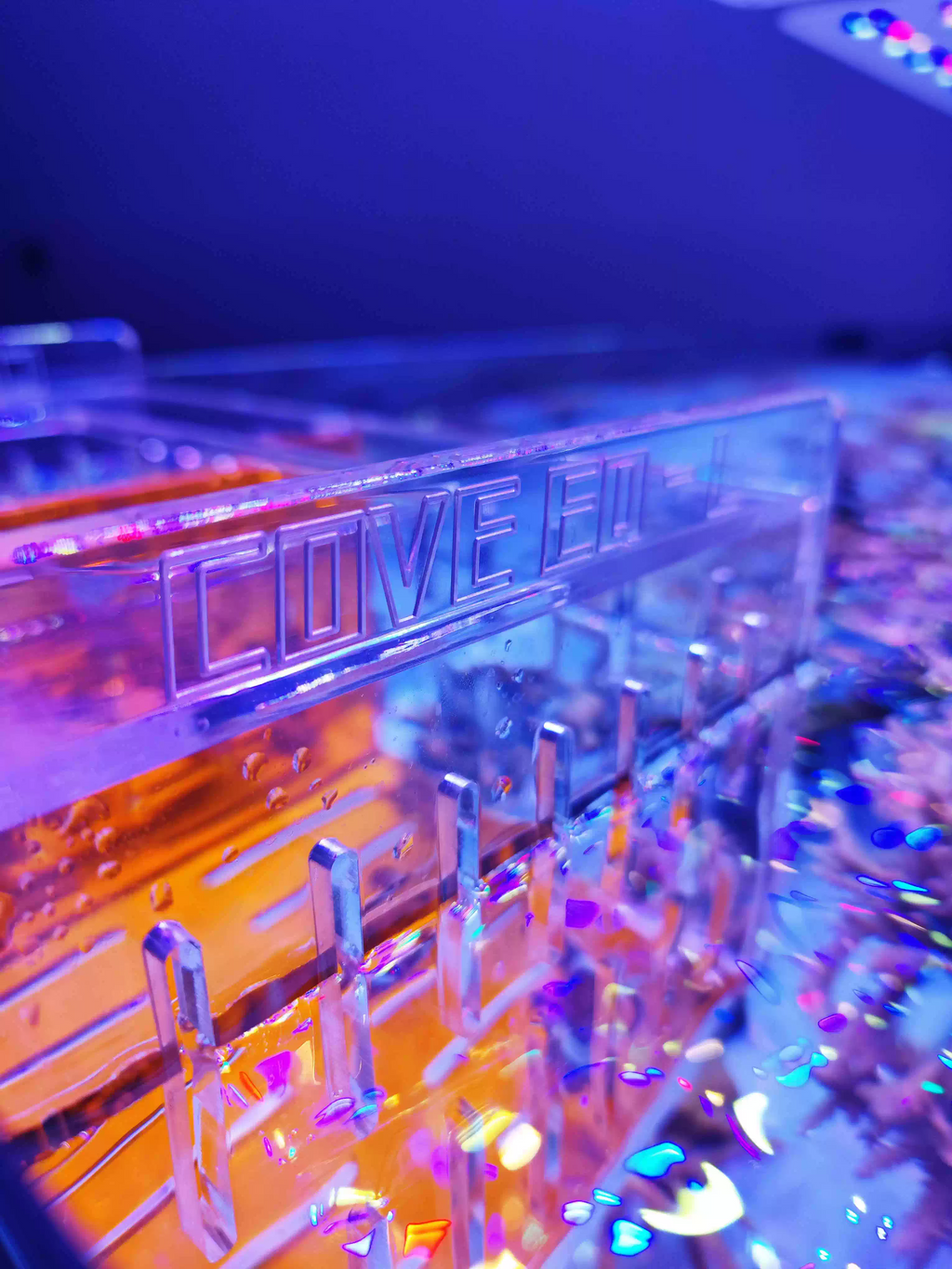 COVE Acrylic Acclimation & Isolation Box