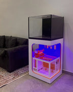 Cove 60 Cube Reef Aquarium System