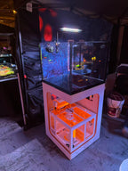 Cove 60 Cube Reef Aquarium System