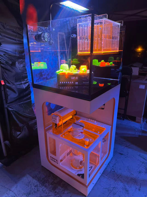Cove 60 Cube Reef Aquarium System